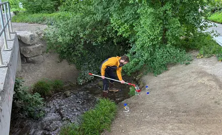 Ecotoxicological analysis of samples from watercourses near roads in the city of Zurich