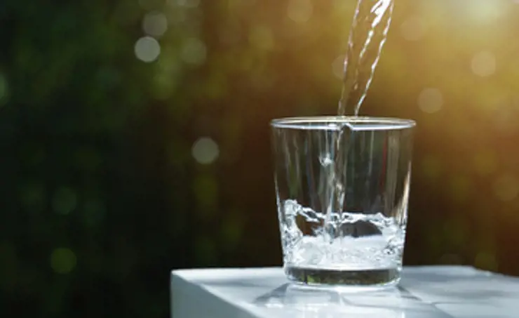 Webinar: Bioassays for drinking water assessment on 24.2.2026, 14.30-16.00