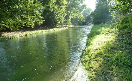 Aquatic Ecotoxicology