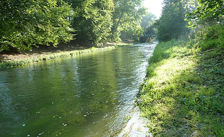 Aquatic Ecotoxicology