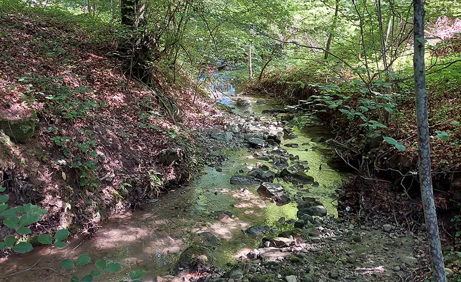 Monitoring the water quality of the Chamberonne 