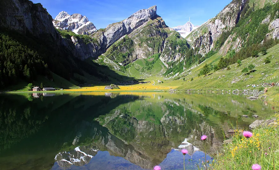 Sediment quality of lake Seealpsee: presence of microplastics and tire associated chemicals, ecotoxicological and biological assessments