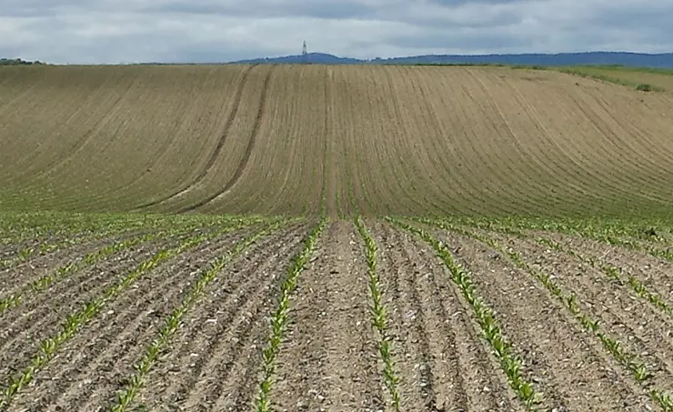 New report on determining ecotoxicological reference values for soils