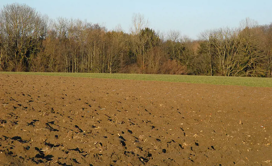 Ecotox Centre webinar on the new EU Soil Directive, 14 November 2023, 16:00-17:00