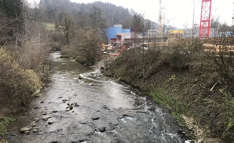 Sediment worms investigate the effect of wastewater on stream health